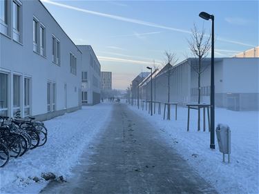 Voorstel rond ruimen van sneeuw op fietspaden - Beringen