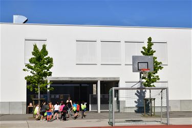 Vraag rond zomerscholen in Beringen - Beringen