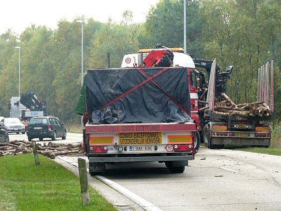 Vrachtwagen verliest lading hout - Meeuwen-Gruitrode