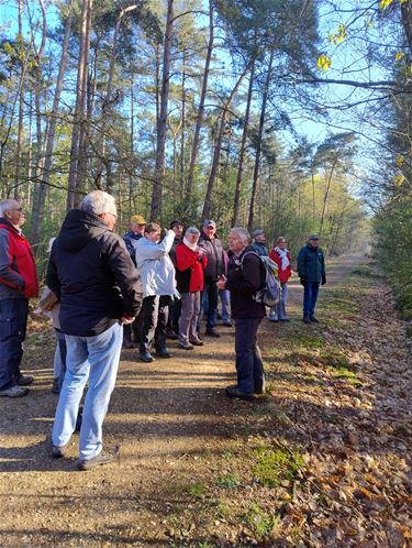 Pelt - Vroege vogels genieten van dauwwandeling