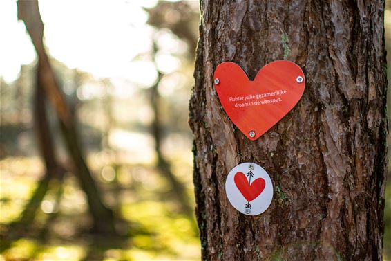 Wandel de 'Tour d'amour' deze Valentijn - Lommel