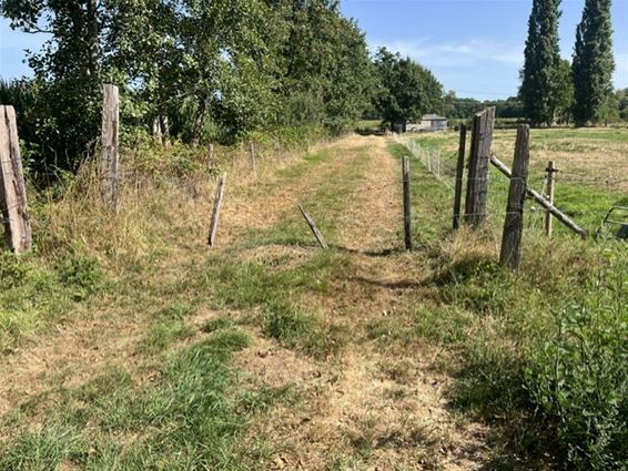Wandelaar botst op hindernissen op Buurtweg 12 - Pelt