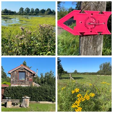 Wandeldag in Lummen - Beringen