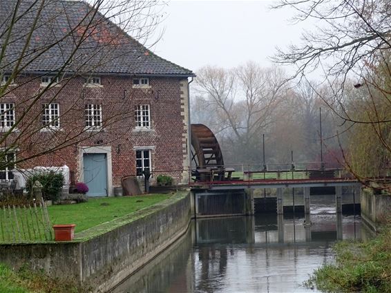 Wandelen in alle rust en langs bezienswaardigheden - Tongeren