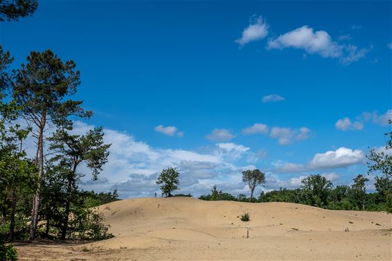 Wandelen in de grootste zandbak van Vlaanderen