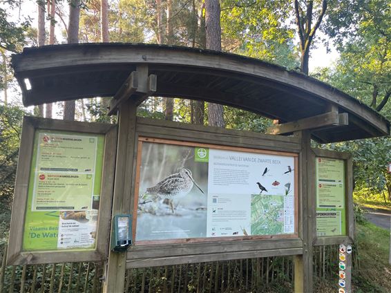 Wandelen aan Koersels Kapelleke - Beringen