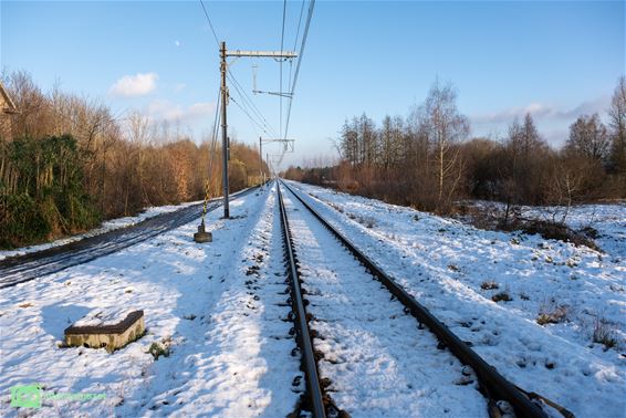 Wandelen langs De Holen - Pelt