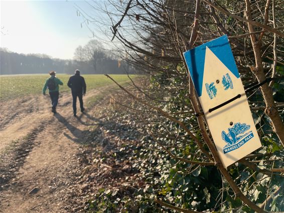 Wandelend Paal deed het in Eversel - Beringen