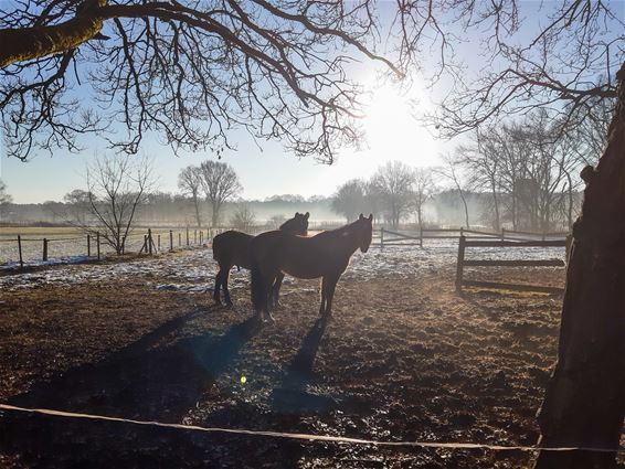 Wandeling in de Katterijen - Lommel