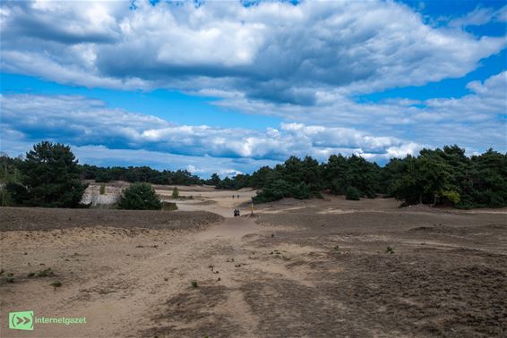 Wandelzoektocht voor het goede doel in Lommel - Lommel