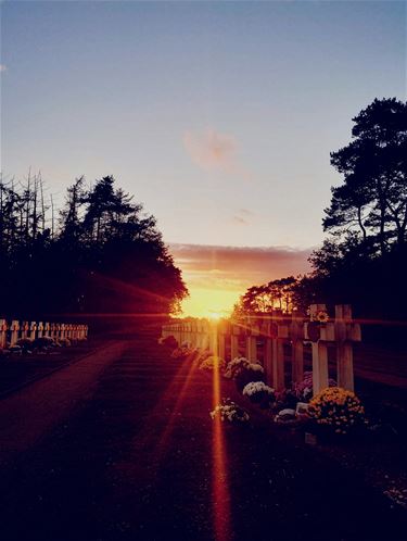 Wanneer verdriet en hoop elkaar ontmoeten - Pelt
