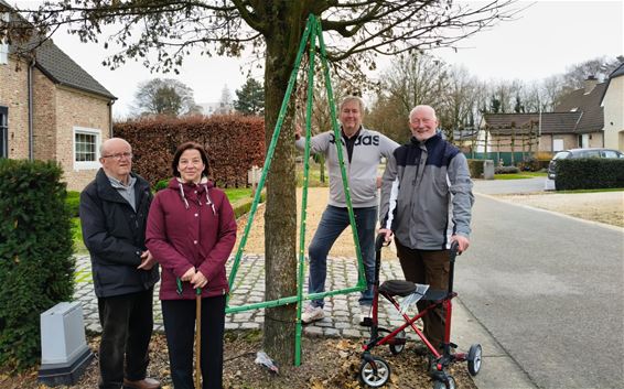 Warme kerstbomen sieren de Wipstraat - Lommel