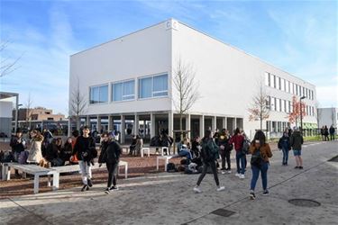 Week van de hoogbegaafdheid in Spectrumcollege - Beringen