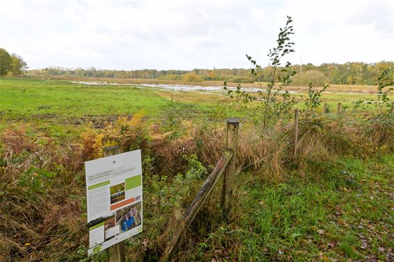 Week van het Veen en unieke Veendag - Beringen