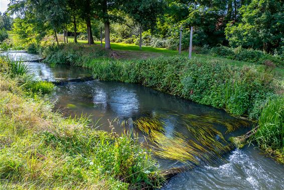 Bree - Week van het Water: doe mee en win!