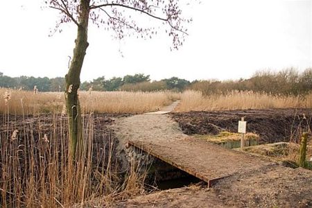 Weer wandelen over het knuppelpad - Neerpelt