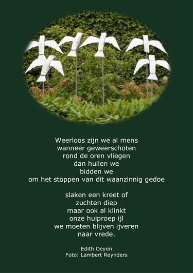 Weerloos zijn we als mens - Beringen & Leopoldsburg