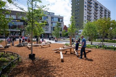 Weerstations meten effect van ontharding - Genk