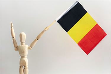 Hechtel-Eksel - Weetjes over het Te Deum