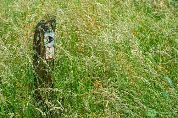 Wegwijzers wandelpaden Bosland vernield - Hechtel-Eksel & Pelt