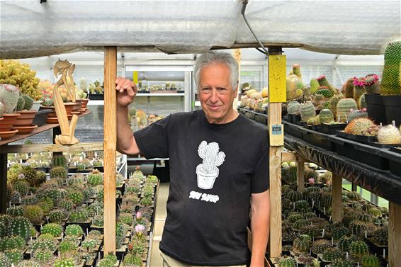 Leopoldsburg - Welkom in de boeiende wereld van cactussen