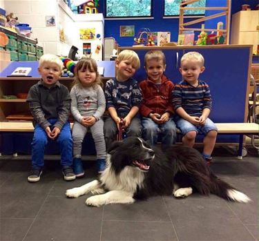 Werelddierendag in wijkschool Steenhoven - Beringen