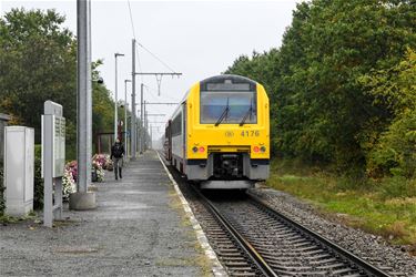 Werken aan de spoorlijn tussen Hasselt en Mol - Beringen & Leopoldsburg