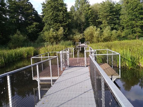 Werken aan Dommelvijver in Peer