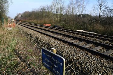 Werken elektrificatie spoorlijn Mol - Hasselt - Beringen