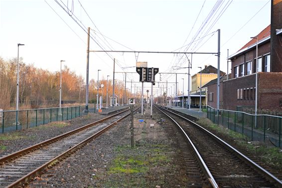 Werken op spoorlijn tussen Hasselt en Mol - Beringen & Leopoldsburg