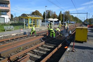 Werken spoorweg Koerselsebaan verlopen vlot - Beringen