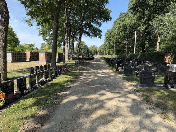 Werken voetpaden begraafplaats Beverlo - Beringen