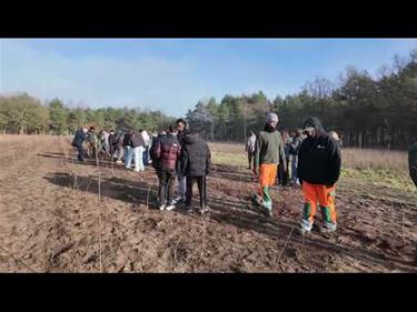 WICO-leerlingen planten nieuw Juniorbos - Pelt
