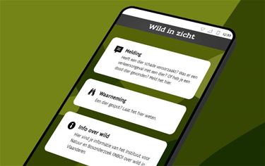Wild melden via WildInzicht.be - Hechtel-Eksel