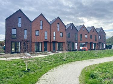 Willow Park zet deur van kijkwoning open - Beringen
