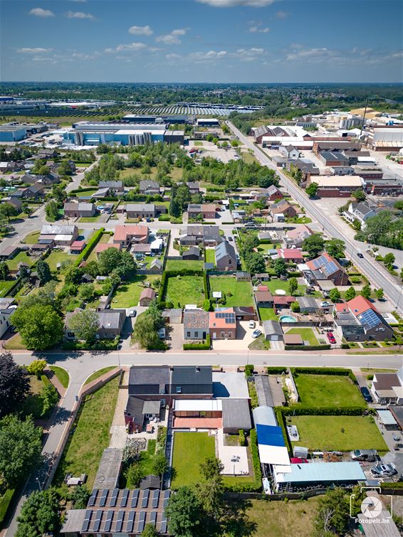 Windmolenpark Nolimpark: reactie van de bewoners - Pelt