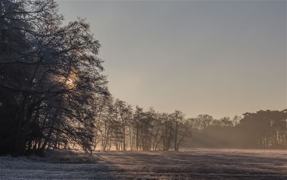 Winter in het Hobos - Overpelt