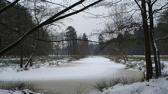 Winter in het Lindel - Overpelt