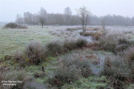 Winterlandschap aan Achelse Kluis - Hamont-Achel