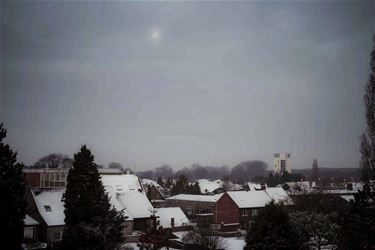 Winterochtend - Beringen