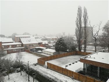 Winterprik - Beringen