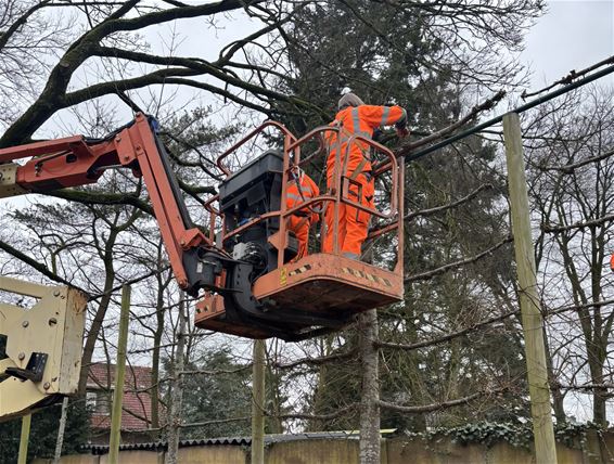 Oudsbergen - Winterprik, maar geen winterrust voor groendienst