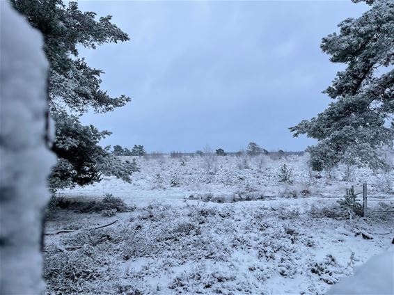 Beringen - Winters weekend