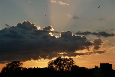 Wisselvallig herfstweer - Beringen & Leopoldsburg