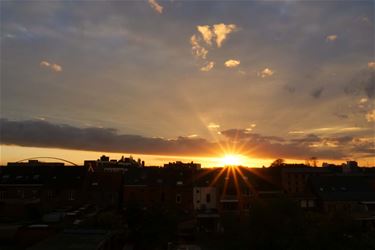 Wisselvallig herfstweertje - Beringen & Leopoldsburg