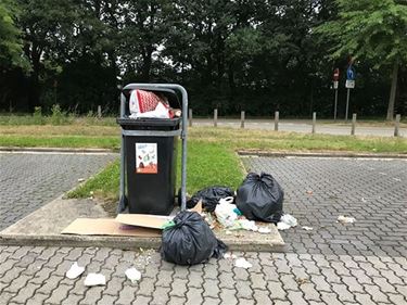 World Cleanup Day in Beringen - Beringen