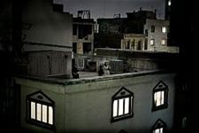 World Press Photo voor Italiaan