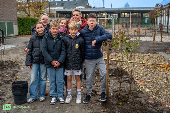 XCL Eigenwijs-leerlingen planten zelf aan - Lommel