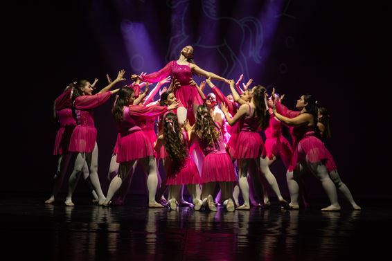 You Can Dance gaf prachtige voorstelling - Beringen