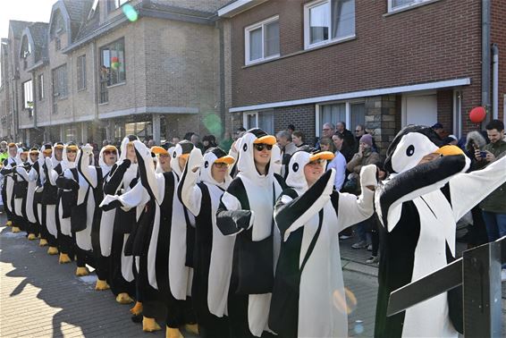 Zalig weertje voor de stoet van de Boegezekoekers - Hechtel-Eksel